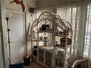 miamire/50633dd50f496c2bca1bc95d112be572.jpg?width=131&height=105&format3=webp