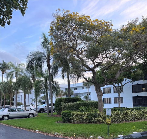 View of a multi-story white building with large trees and parked cars in front.