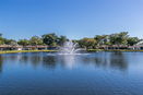 miamire/5159a5d4d30971f6215e3a85cbf097f2.jpg?width=131&height=105&format3=webp