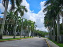 miamire/526eee74fc8fd85ed8b8b0e117b191ef.jpg?width=131&height=105&format3=webp