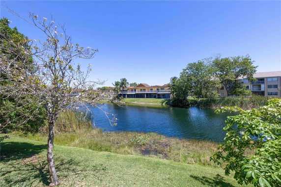 View of buildings near a body of water with trees surrounding the area.