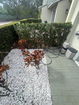 miamire/53122ee6d5acd4475da423d697586884.jpg?width=131&height=105&format3=webp