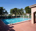 miamire/53586256931236212944e5fd2af8acaa.jpg?width=131&height=105&format3=webp