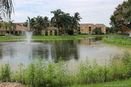 miamire/543d822fe72a634fdfcb668328e93fe9.jpg?width=131&height=105&format3=webp