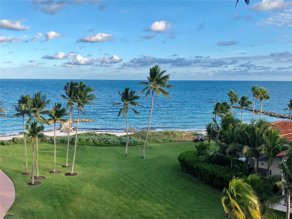 View of the ocean with palm trees and a grassy area in the foreground.