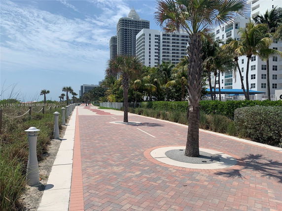 View of a coastal pathway lined with palm trees and high-rise buildings in the background.