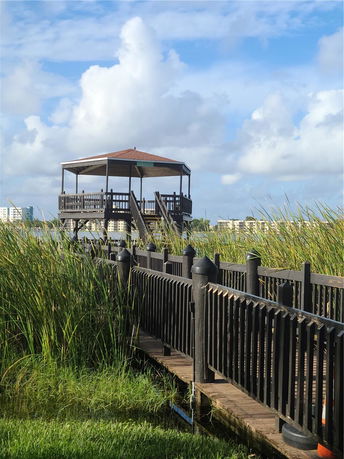 Elevated wooden gazebo with stairs overlooking grassy wetland area.