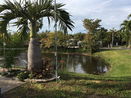 miamire/55e163952d6b091dac5c7db98a1fa6ec.jpg?width=131&height=105&format3=webp