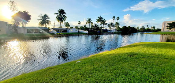 View of a lake surrounded by palm trees and houses in a residential area.