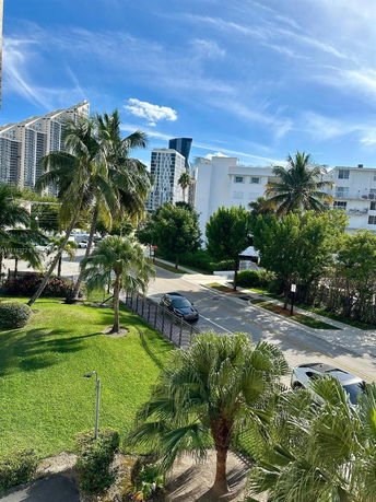 View of palm trees and nearby buildings from an elevated position.