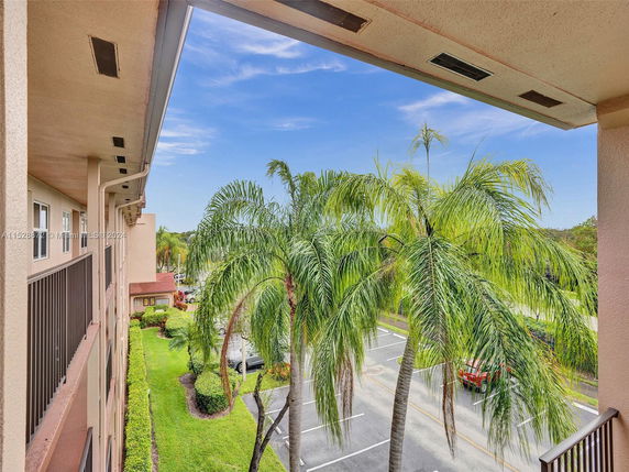 View from a building showing palm trees and a parking area below.