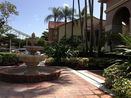 miamire/58d89525697ebbbae3e985d76d421a3c.jpg?width=131&height=105&format3=webp