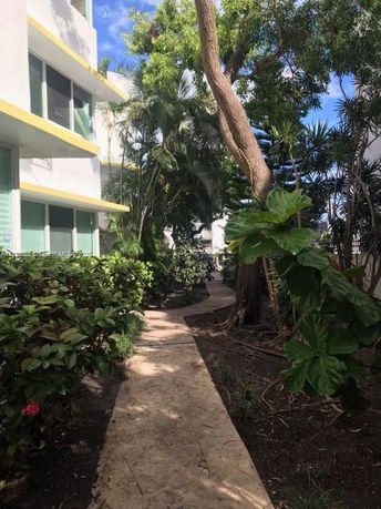 Pathway alongside a building with trees and bushes.