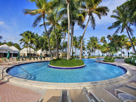 Outdoor swimming pool area surrounded by palm trees.