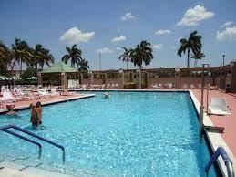 Outdoor swimming pool with sun loungers and palm trees.