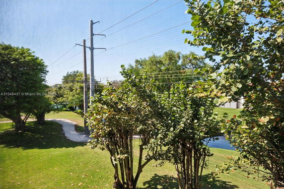 View of a green lawn and trees with power lines in the background.