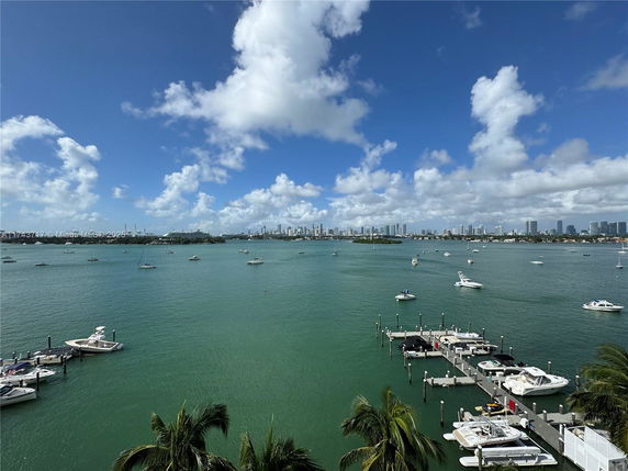 Panoramic view of a waterfront area with numerous boats and a city skyline in the distance.