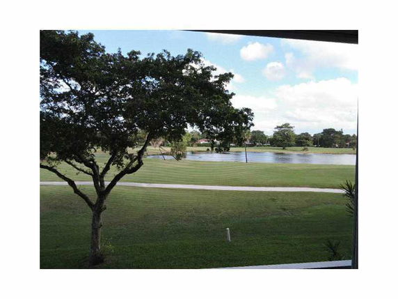 Panoramic view of a grassy area with a tree and a lake in the distance.