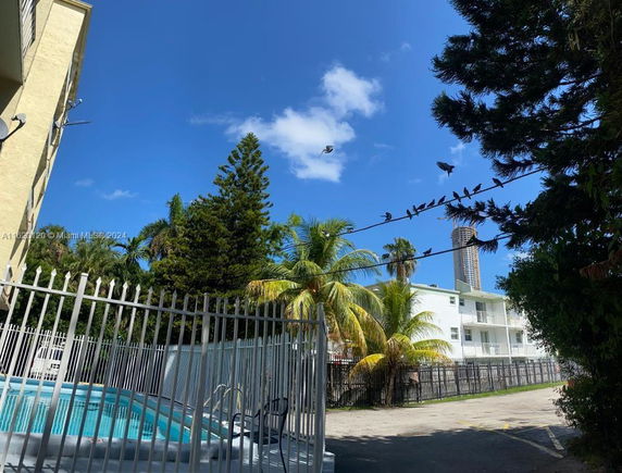 Outdoor area with a fenced swimming pool and palm trees nearby.