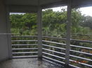 miamire/5b87d9d6829bb75efaa051049b986172.jpg?width=131&height=105&format3=webp