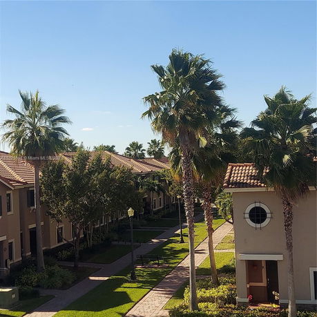 View of a residential area with palm trees and pathways