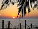 miamire/5c0c72250077d7dc2c23a3aaad823242.jpg?width=131&height=105&format3=webp