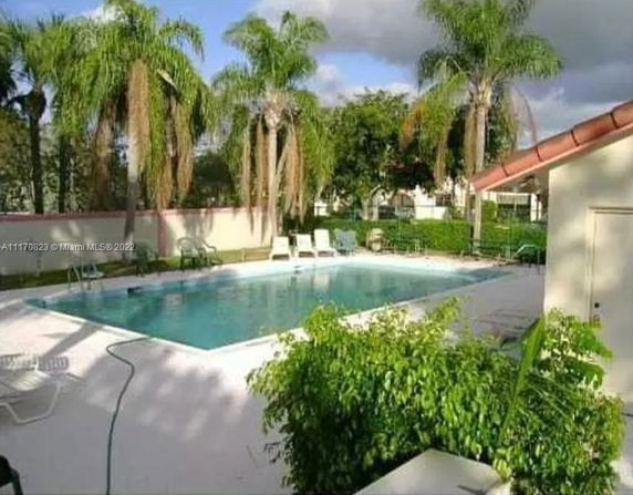 Outdoor swimming pool area with pool chairs and palm trees.