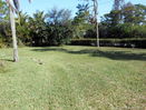 miamire/5d0ab0214f8aa8cb0d5a1aab2401523c.jpg?width=131&height=105&format3=webp