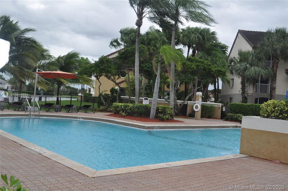 Swimming pool area with surrounding palm trees and buildings.