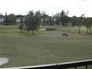 miamire/5ddfb44beb97217288794efbfecd7e10.jpg?width=131&height=105&format3=webp