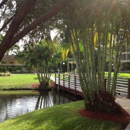 View of a landscaped outdoor area with a small water body, a footbridge, and tall palm trees.