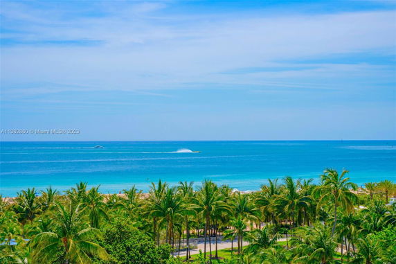 Wide-angle view of the ocean with palm trees and blue water under a clear sky.