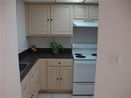 miamire/5ef5bf9d0d0dbf0b57bb2fe99f8f0f56.jpg?width=131&height=105&format3=webp