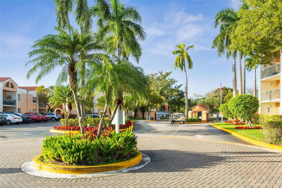 Outdoor parking area with surrounding palm trees and parked cars.