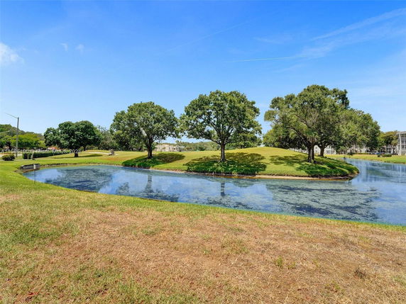 View of a grassy landscape with a pond and trees.