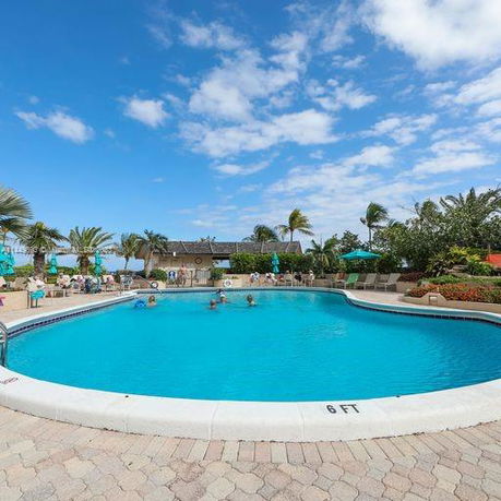 Outdoor swimming pool area with palm trees and lounge chairs.
