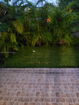 miamire/6008ecf7146a3dcdc79d72b23c1fb96f.jpg?width=131&height=105&format3=webp