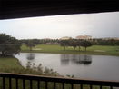 miamire/6026e0349f7b1c7f851aedbf7ae991ec.jpg?width=131&height=105&format3=webp