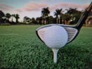 miamire/60df38cc7f4e80156bc3539136f69972.jpg?width=131&height=105&format3=webp