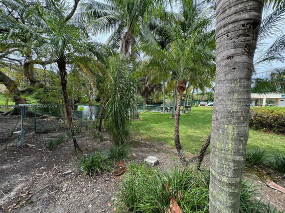 View of surrounding area with palm trees and greenery.