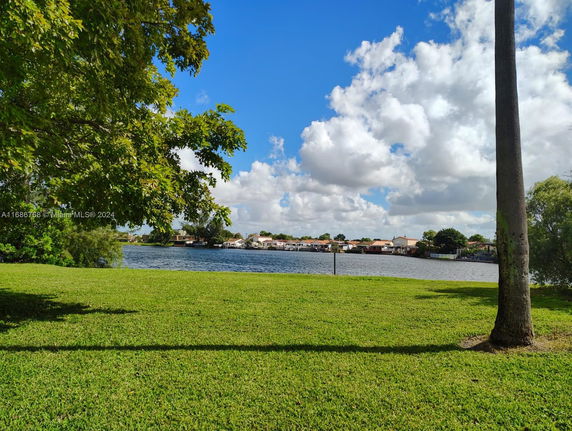 Scenic view of a grassy area with a tree, overlooking a body of water with houses in the distance.
