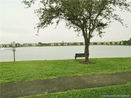 miamire/63b46d90527fce713984aff168cf0764.jpg?width=131&height=105&format3=webp