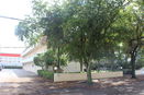 miamire/64699159c50fb7b6fd7940367856a5c9.jpg?width=131&height=105&format3=webp
