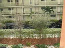 miamire/650c6aace07c8bacb8b7c82676236abc.jpg?width=131&height=105&format3=webp