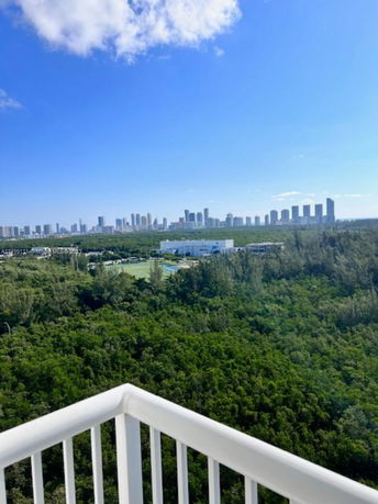 Panoramic view from a balcony showing a city skyline and green forested area.