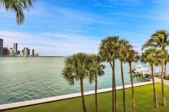 Wide view of waterfront area with palm trees and cityscape in the distance.