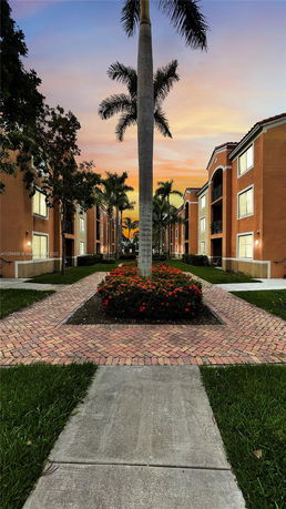 Pathway between residential buildings with a palm tree and flower bed in the center.