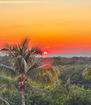 miamire/6703994381a1b412c45c81363a916e18.jpg?width=131&height=105&format3=webp