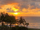 miamire/6719fe5c3f42a7074b23da230c3ce371.jpg?width=131&height=105&format3=webp
