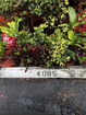 miamire/67cce7cf5f8049c6e8847d006c9602bc.jpg?width=131&height=105&format3=webp